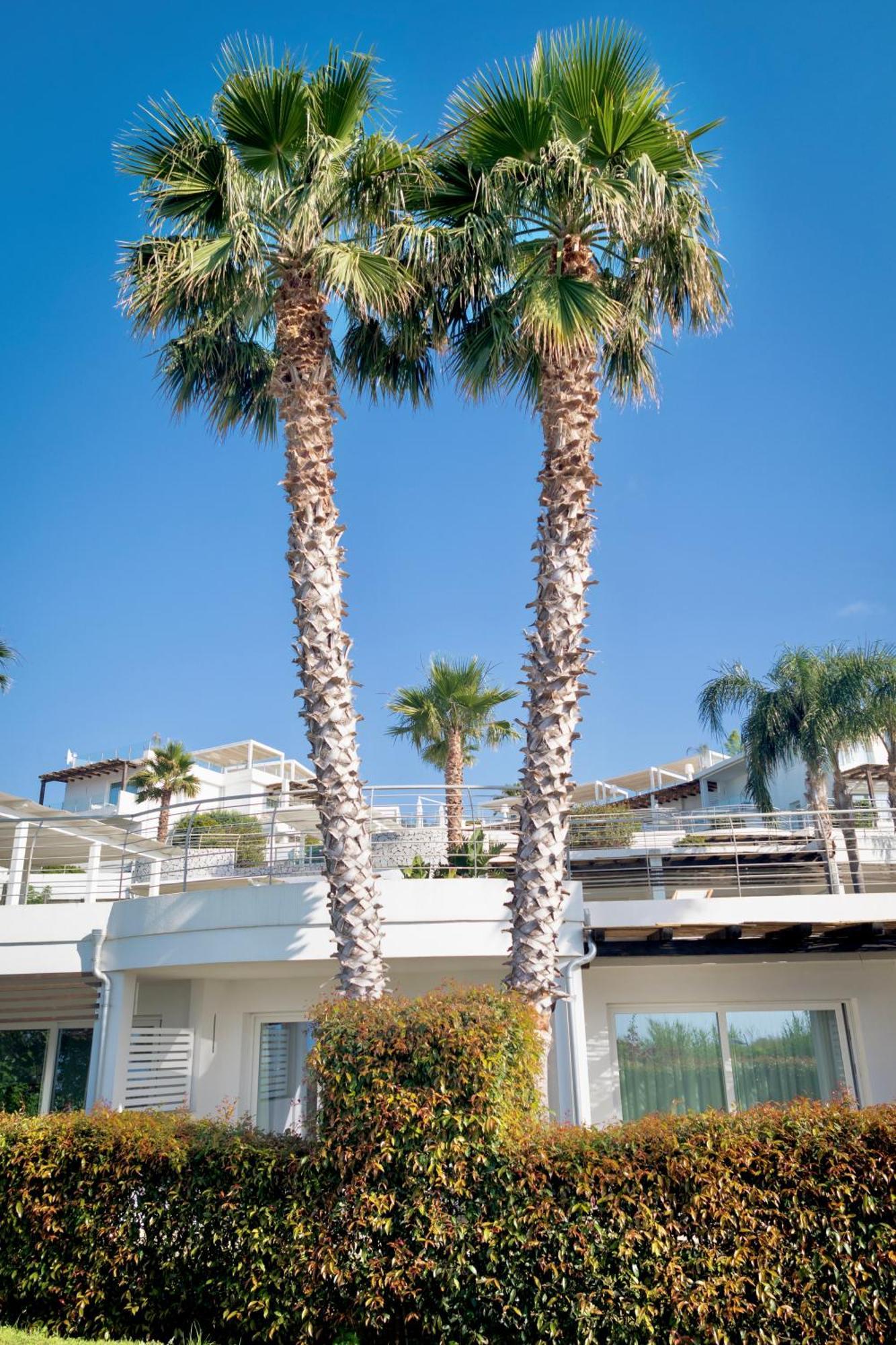 Infinity Resort Tropea 帕尔盖利亚 外观 照片